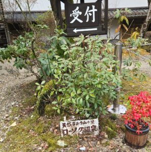 癌と向き合う家族とともに──ローソク温泉での決意表明