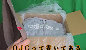 初心者が古着をネットで箱買いしてみた結果…意外とイケる副業かも？